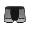 mens-mesh-trunks - Las Lingerie mens mesh trunks at Las Lingerie