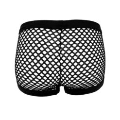 mens mesh trunks fashion lingerie